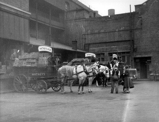 Photo:Stag Brewery loading dock in Palace Street, showing delivery horses, 1958