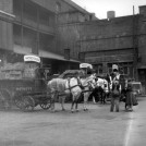 Photo:Stag Brewery loading dock in Palace Street, showing delivery horses, 1958